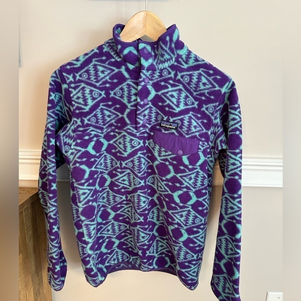 Patagonia Synchilla RARE